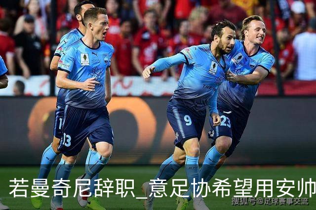 若曼奇尼辞职 意足协希望用安帅或卡纳瓦罗替代